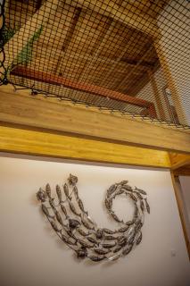 Villa Nauraa - 5ch - piscine - proche plage. - 2