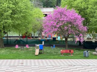 Casa Paradiso - Borso del Grappa - 2