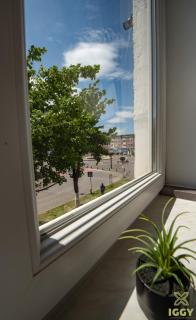 Iggy Premium Apartment - 5