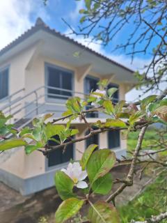 Villa Correia - Ribeiro Frio - São Roque do Faial - 9