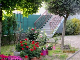 5 Palme - Terzo dʼ Aquiléia - 5