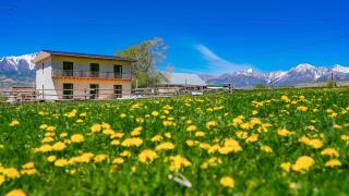 Altay Village Hotel - 3