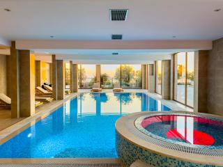 Villa Carevic with indoor pool - Kotor (Cattaro) - 5