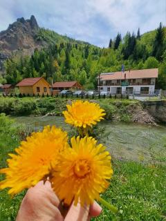 Pensiunea Cheile Șugăului - 0