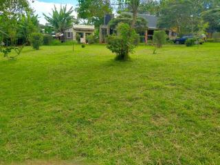 The Orange Cottage - 3