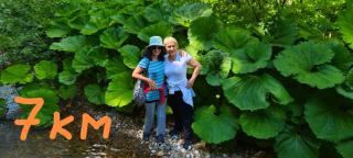 Pine corner Mojkovac - 5