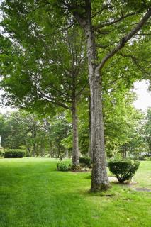 The Lodge at Jackson Village - Jackson - 4