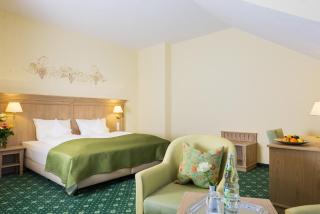 Hotel Rebstock - Baden-Baden - 7