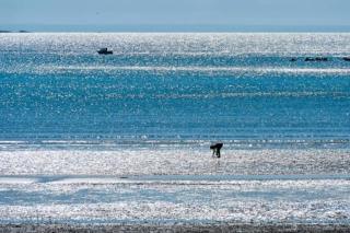 Chalet moderne, Jacuzzi & Cinéma - Saint-Coulitz - 3