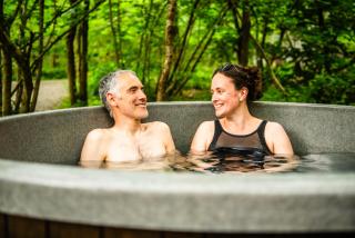 Cosy Shepherd's Hut with Hot Tub - 6