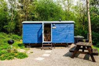Cosy Shepherd's Hut with Hot Tub - 9