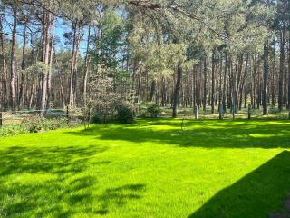 Ferienhaus im Wald, am Briesener See - 9