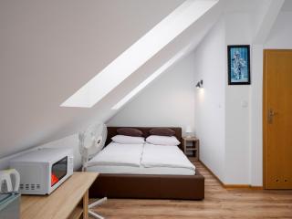 Dom Wczasowy Gallus- pokoje z klimatyzacją - 3