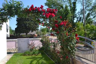 Villa Baldi -Apartmani Danny - Tar - 7