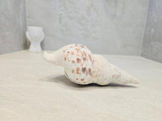 C Suites Mykonos - 4