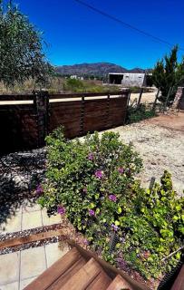 Poria Valle de Guadalupe - Francisco Zarco - 4