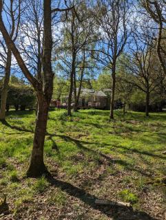 Birkenside Cottage - 8