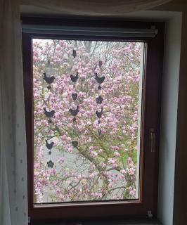 Wohnung im Grünen, Haus Cara, 120m², 4 Zi, Kü, Bad - 7