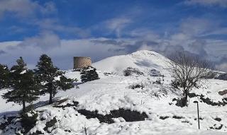 Can Tubau - Casa rural - Apartaments - 3