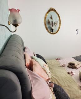Mirka & Franck Apartment Chic 4 Stars Parking Free - Colmar - 8