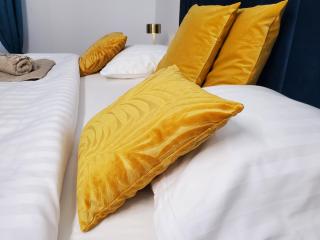 Mirka & Franck Apartment Chic 4 Stars Parking Free - Colmar - 5