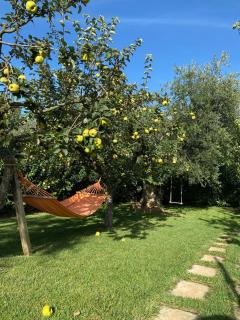 Il Trullo del Lazzeruolo - 3