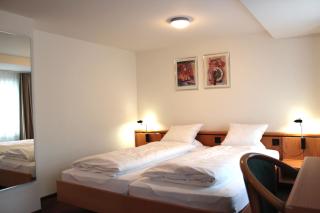 Hotel Freihof Swiss Lodge - Unterägeri - 8