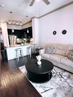 Midtown Condo with skyline view - Houston - 7