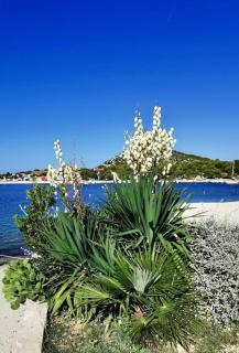 Seaside holiday house Drage, Biograd - 23157 - Biograd na Moru - 2