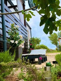 Seaside holiday house Drage, Biograd - 23157 - 3