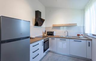 Gorgeous Apartment In Vodnjan With Wifi - Vodnjan - 4