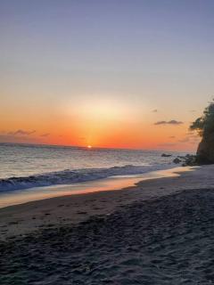 Opacarophile Suites - Choiseul - 3