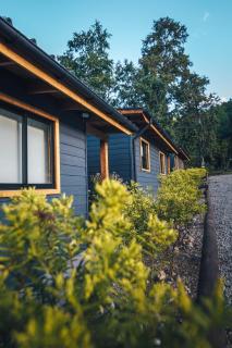 Wincarayen Lodge & Cabañas - Panguipulli - 1