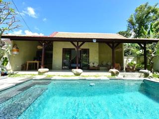 Villa Marmut Ubud - Ubud - 9