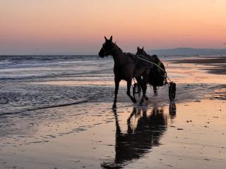 Studio cosy proche plage à Merville-Franceville, parking et wifi inclus - FR-1-788-11 - Merville-Franceville-Plage - 2