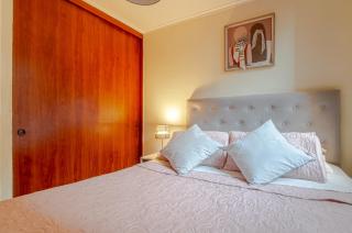 Apartamento 2 Habitaciones Bellas Artes - Santiago - 4