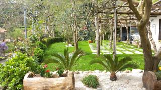 Mon Reve 2 - Pianillo - 8