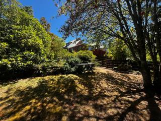 90 Chalet Crescent - Hanmer Springs - 8