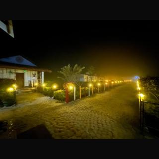 Falcon Jungle Resort - Jyoti Gaon - 1