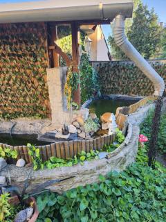 Nagyi Apartman Kecskemét - Kecskemét - 8