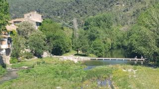 Vue verte - Bize-Minervois - 0