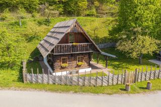 Organic Homestead Mikl - Slovenj Gradec - 3