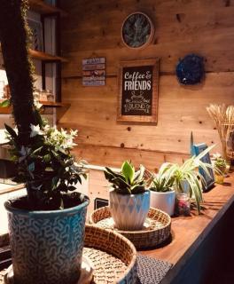 The Little Paradise - 3