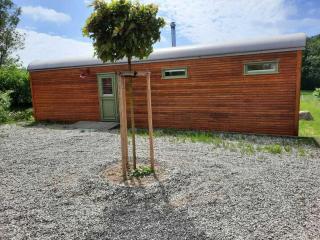 Tiny House "Ria" Comfortable holiday residence - Miekenhagen - 4