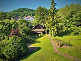 Teutoburg Forest hiking paradise - Bad Driburg - 5