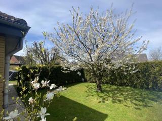 urlaubinsicht de Comfortable holiday residence - 5