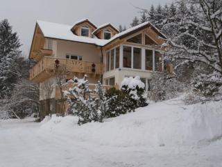 Dream view Comfortable holiday residence - Zachenberg - 9