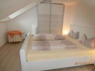 Dream view Comfortable holiday residence - Zachenberg - 7