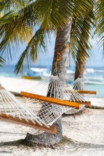 Virgin Island Resort - 3
