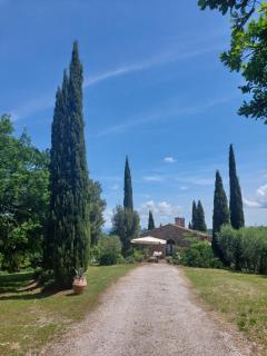 Podere Cerreto - Casole dʼElsa - 7